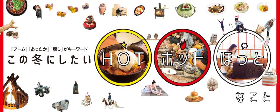 この冬にしたいHOT!ホット!ほっと!なこと