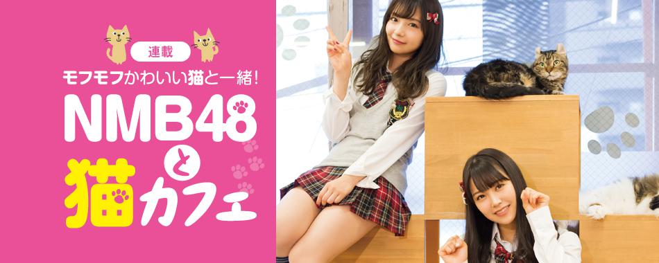 モフモフかわいい!NMB48と猫カフェ