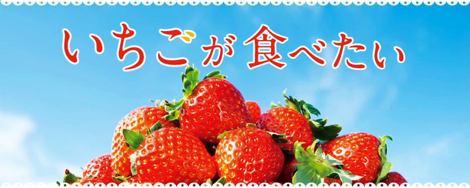 おいしい“いちご”が食べたい