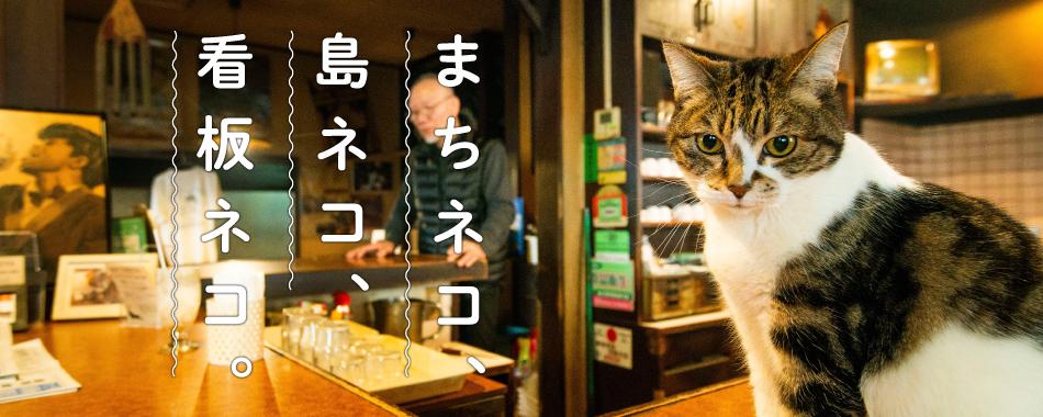 まちネコ、島ネコ、看板ネコ。