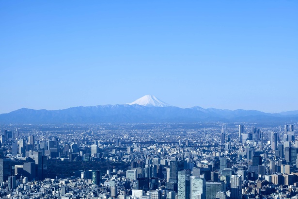 特に冬の朝は空気が澄んでいるため、西側の窓から富士山が見えることもあるのだとか