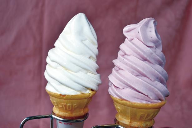 【写真を見る】「高原のソフトクリーム 四季のソフト」(350円)は、濃厚なミルクの味がする人気商品。芝桜をイメージした限定ソフトも登場予定 / 茶臼山高原