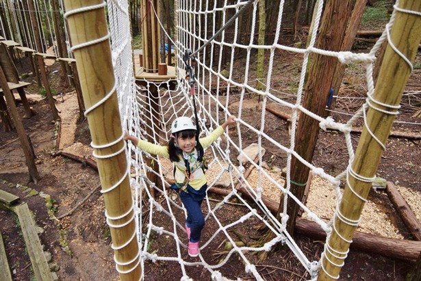 日本最長級のジップラインも体感できる 冒険の森inのせ のアスレチックが超本格的 ウォーカープラス