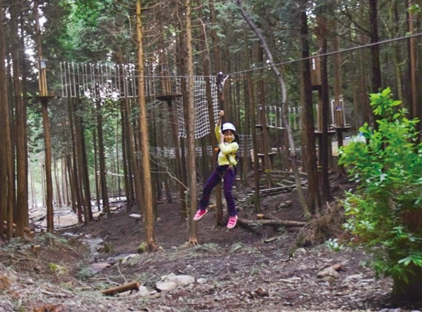 画像7 8 日本最長級のジップラインも体感できる 冒険の森inのせ のアスレチックが超本格的 ウォーカープラス
