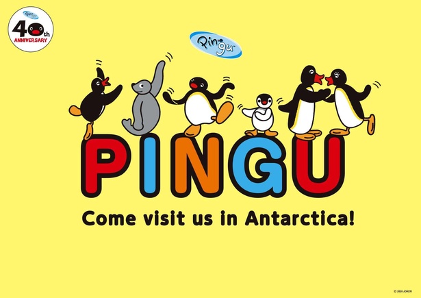世界一有名なペンギン ピングー が40周年 この夏 松屋銀座で記念展覧会を開催 キャラwalker ウォーカープラス
