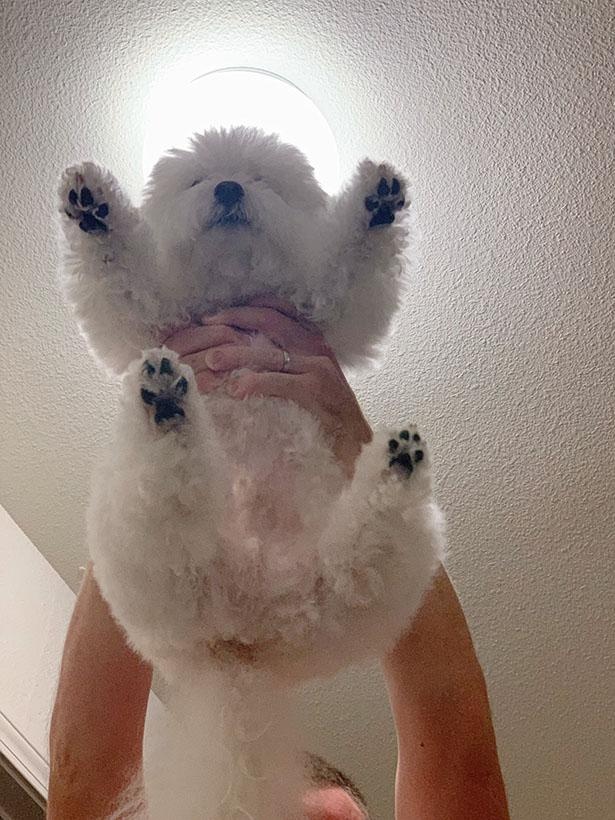 高い高いをしてもらって楽しそう！