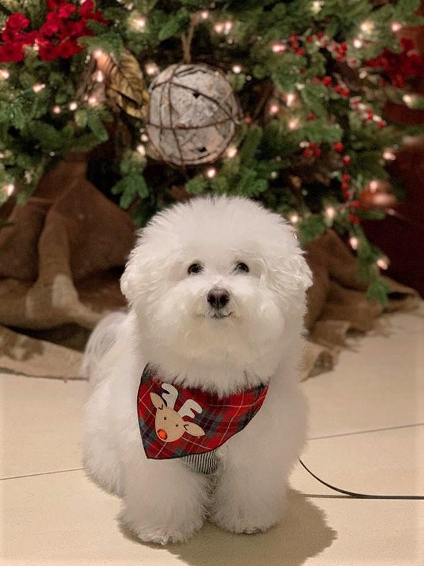 クリスマスでの一枚。トナカイ柄のバンダナがオシャレ