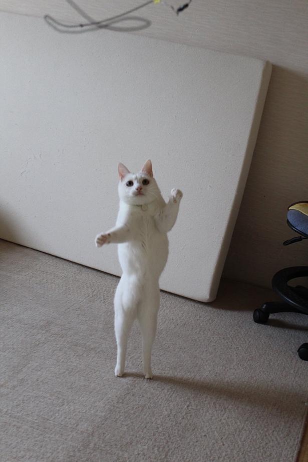 モデルのような美しいくびれ