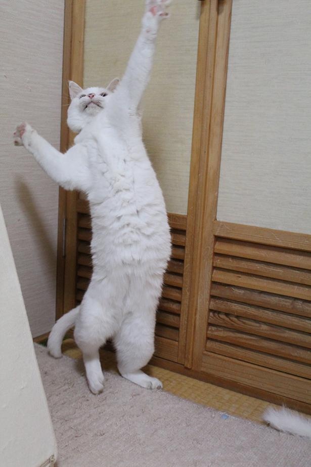 サーブを打つ直前！？
