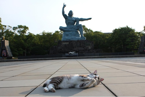 旅猫 ニャン吉の九州案内／長崎県・平和公園
