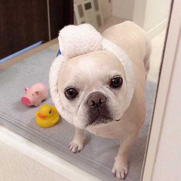 ヘアターバン姿もキマってる！