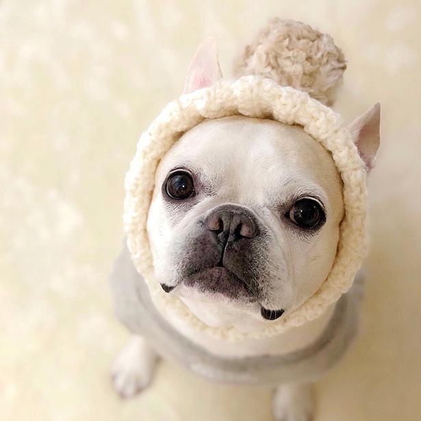 ももちゃんと同系色のニット帽がオシャレ