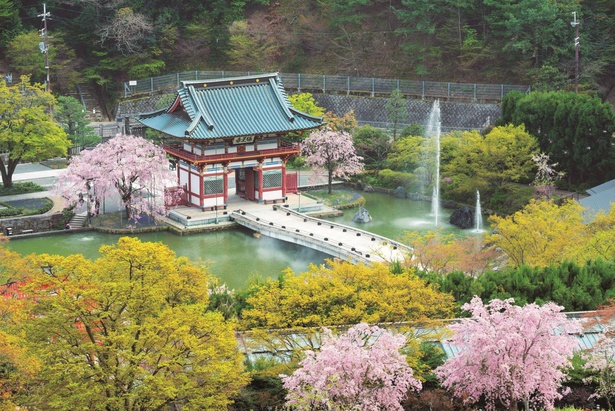 行ったつもり絶景 勝ちダルマで知られるパワースポットの桜名所 大阪 勝尾寺 ウォーカープラス