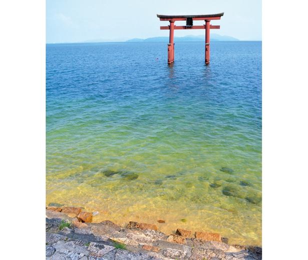 浮かぶように立つ朱色の大鳥居と、青空や湖とのコントラストが美しい