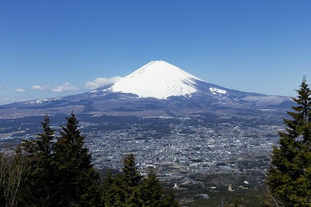 行った気分になれる 神奈川の絶景3選 富士山編 ウォーカープラス