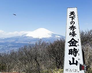 行った気分になれる 神奈川の絶景3選【富士山編】
