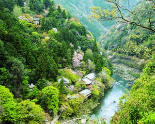 【行ったつもり絶景】嵐山の雄大な自然と桜を満喫「京都・嵐山公園亀山地区」