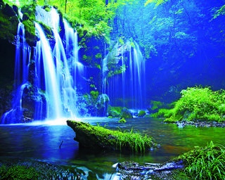 【行ったつもり絶景】苔むした岩を流れ落ちる神秘の滝「兵庫・猿壺の滝」