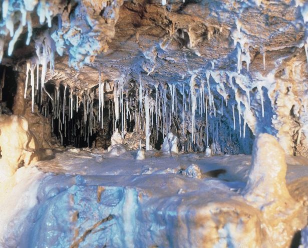 【写真】第１洞、夢の宮殿。飛騨大鍾乳洞は、鍾乳管と呼ばれる、つららのような鍾乳石が多く見られることが特徴 / 飛騨大鍾乳洞