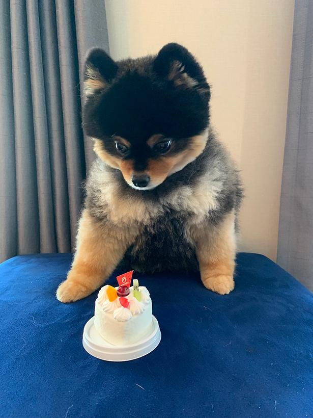 7歳のお誕生日会の様子