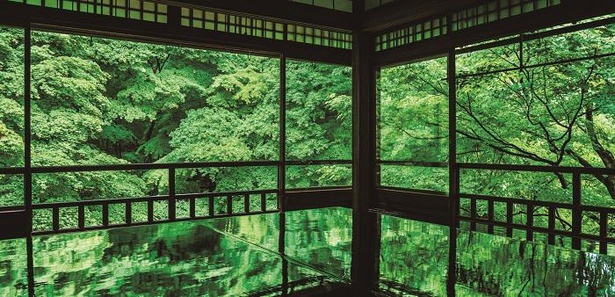 【行ったつもり絶景】 青もみじが織りなす幻想的な空間（京都「瑠璃光院」)