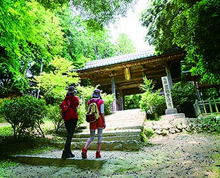【行ったつもりハイキング】1000余年の歴史を刻む姫路を代表する山上の古刹「兵庫・書写山／圓教寺」