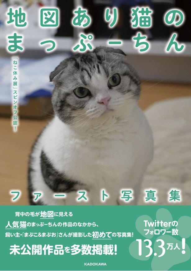 「ねこ休み展」公式写真集 『地図あり猫のまっぷーちんファースト写真集』