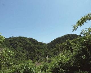 【行ったつもり絶景】パノラマを堪能できる二子山で山登り気分を味わおう