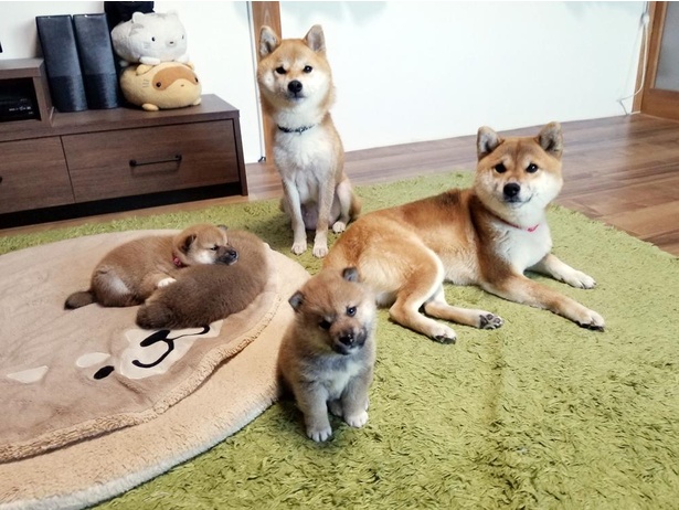 3世代が大集合。素敵な家族写真♪