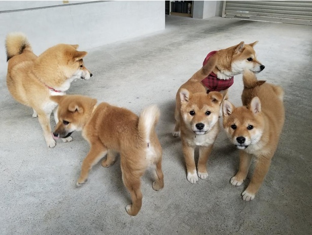「みんな〜揃った？人員点呼始めるよ〜」