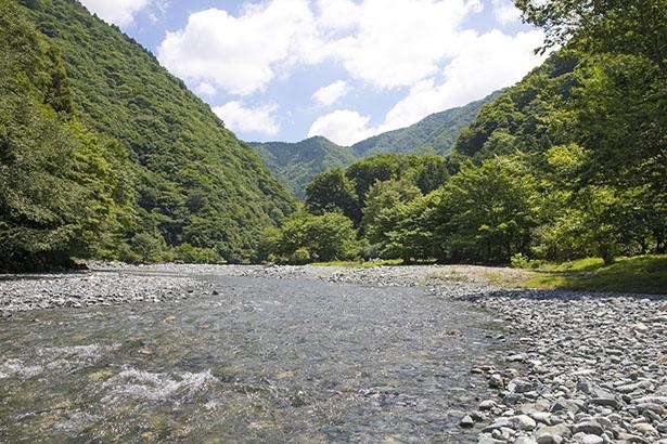 行った気分になれる 神奈川の絶景3選 川編 ウォーカープラス