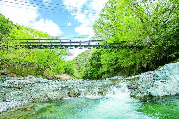 行った気分になれる 神奈川の絶景3選 川編 ウォーカープラス