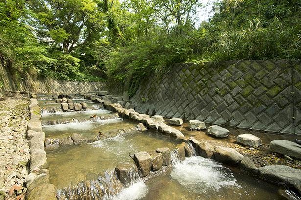 行った気分になれる 神奈川の絶景3選 川編 ウォーカープラス