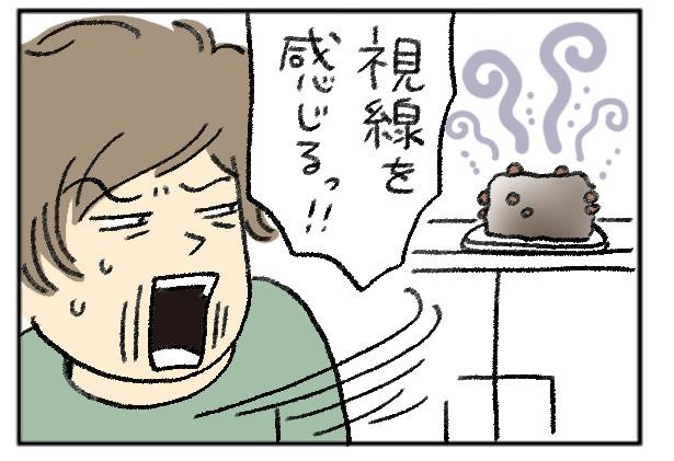 画像14 16 私の穴がうまらない おぐらなおみの しいたけ生活 レポ 人気作家たちのおこもりマンガリレー 6 ウォーカープラス