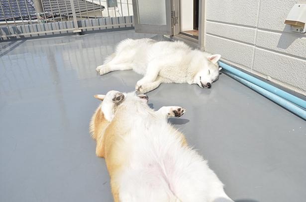 気持ちよさそうな仲良し姉妹