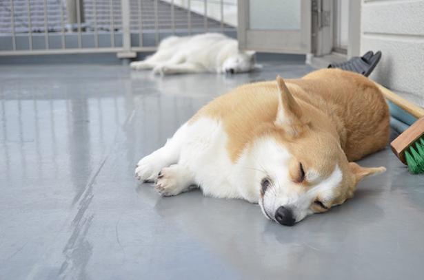 ムギちゃんの背後に注目