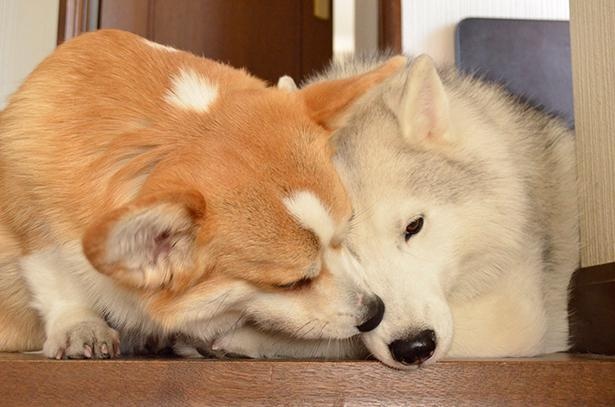 隙をねらってチュー？