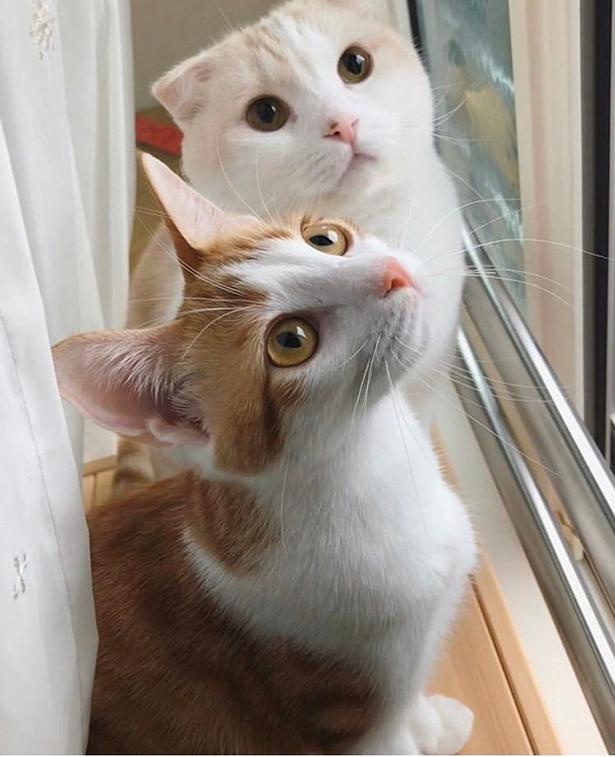 何かに夢中な“きなもな”