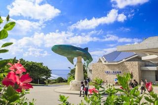 【コロナ対策情報付き】沖縄美ら海水族館は神秘的な絶景も見どころ！ジンベエザメにイルカショーまで楽しみ方を徹底紹介