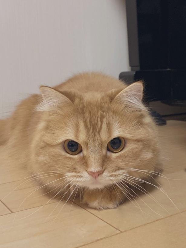 スッと通った鼻筋が美しい