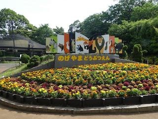 横浜市立野毛山動物園の楽しみ方徹底ガイド！入園無料で動物と触れ合いもできる