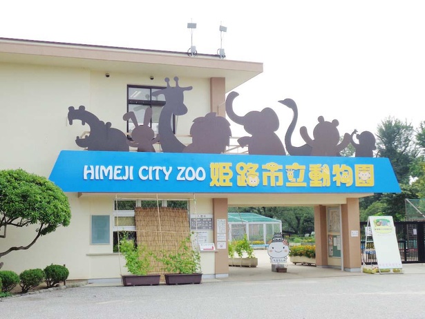 姫路市立動物園の楽しみ方をガイド 動物を身近に感じられ癒されるイベントも多数 ウォーカープラス
