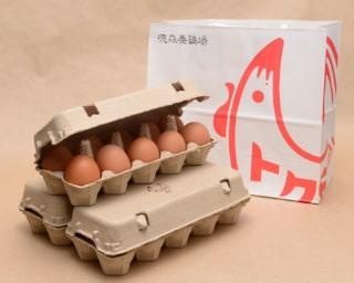 沖縄のこだわり卵をおうちでも！うるま市の老舗養鶏場がオンラインショップを開設