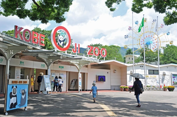 コロナ対策情報付き 神戸市立王子動物園の攻略法を紹介 パンダとコアラ 人気モノが同時に会える ウォーカープラス