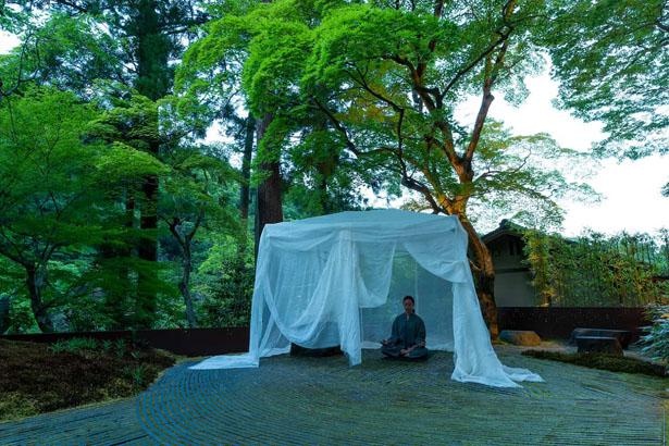 呼吸法と瞑想を取り入れたストレッチ「水辺の夜坐(やざ)」/星のや京都