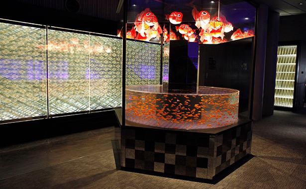 日本最大級の金魚展示ゾーン「江戸リウム」