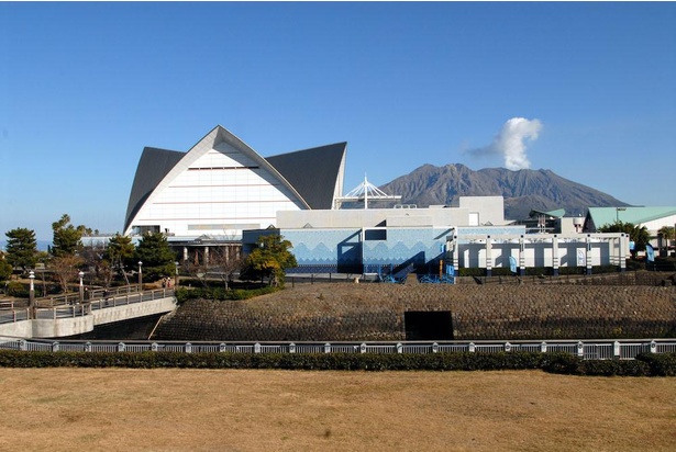 いおワールドかごしま水族館は九州最大級 施設の見どころを紹介 ウォーカープラス