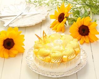 フォトジェニックなケーキが届くサブスクサービス「LikeSweetsBOX」でチーズケーキフェア開催
