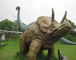 和歌山市 森林公園 和歌山県 の情報 ウォーカープラス