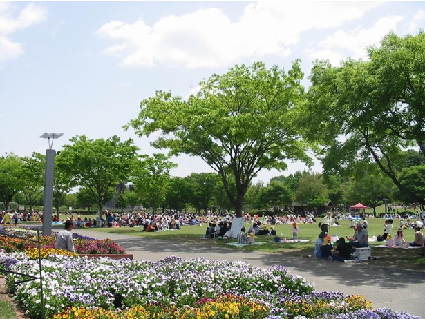 様々なイベントも開催され、芝生広場は連日多くの来場者で賑わう